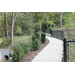 path to park lined with shrubs